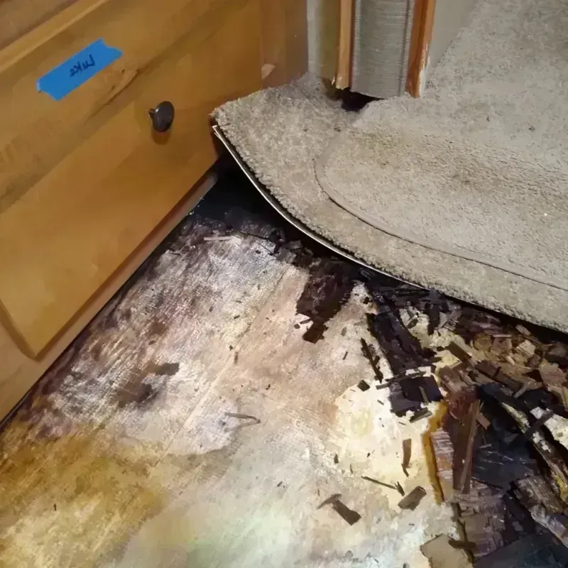 Best Wood Floor Water Damage Service in Lake Magdalene, FL